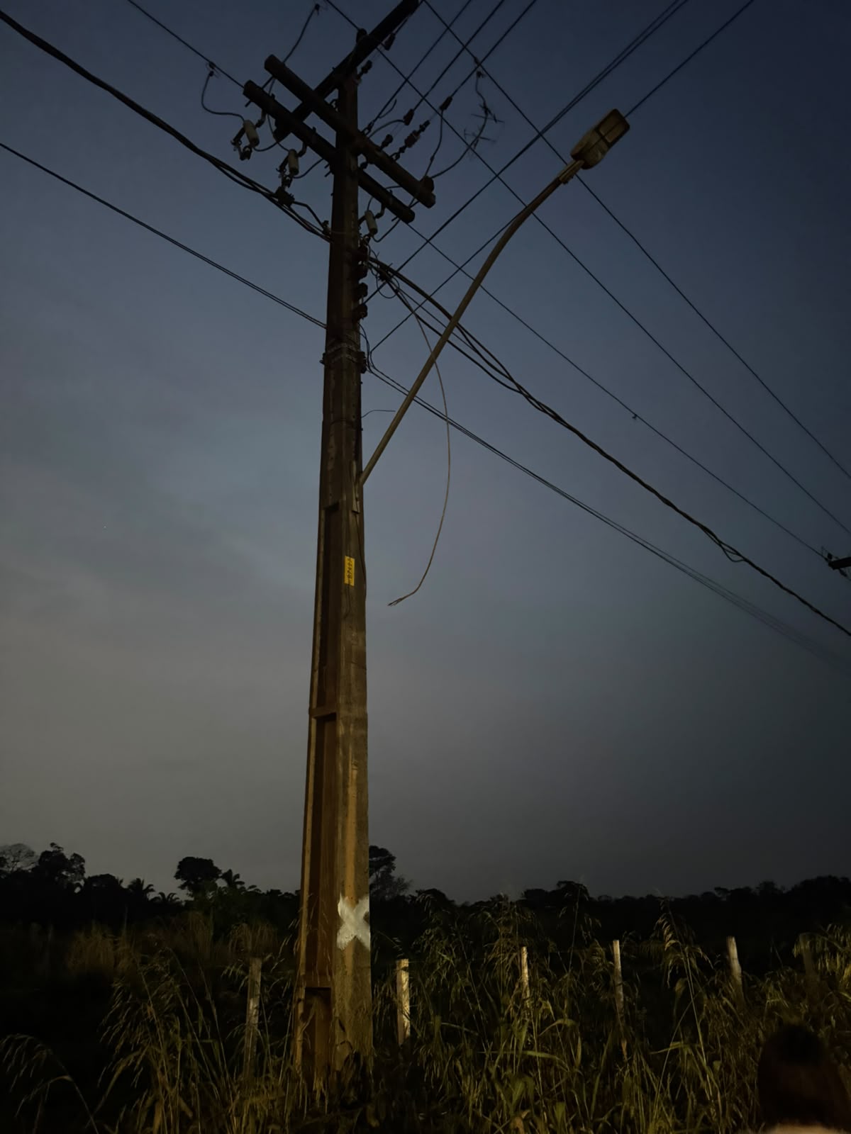 Edimilson Dourado pede poda de árvores na Zona Sul para prevenir quedas e interrupções de energia