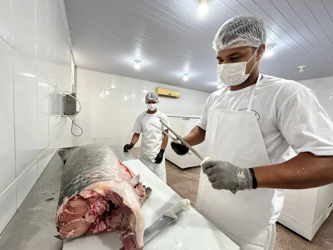Regularização pelo SIM: impulsionando o mercado e fortalecendo agroindústrias em Porto Velho