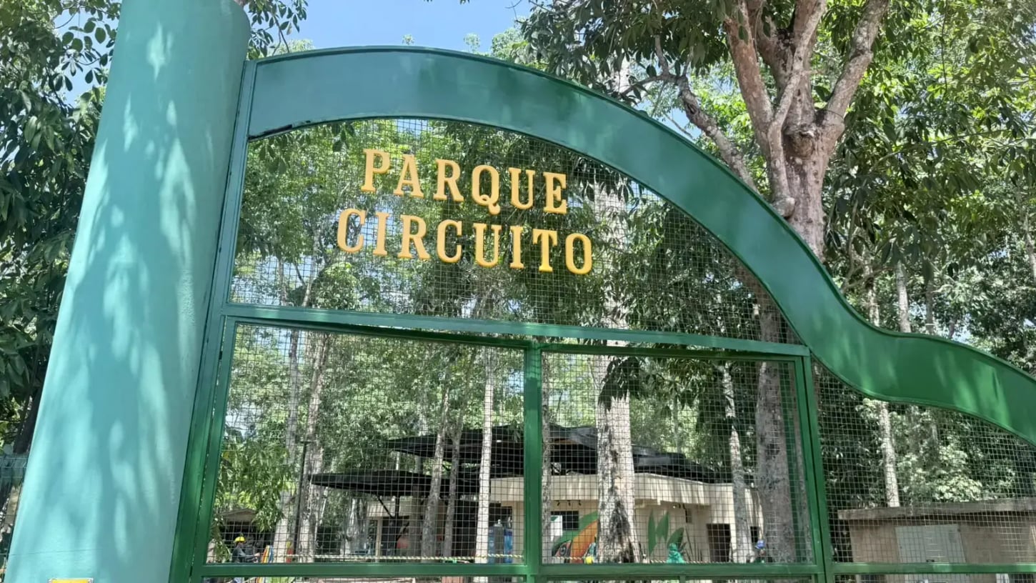 Renovação de Atrações e Iniciativas de Educação Ambiental Marcam Reabertura do Parque Circuito