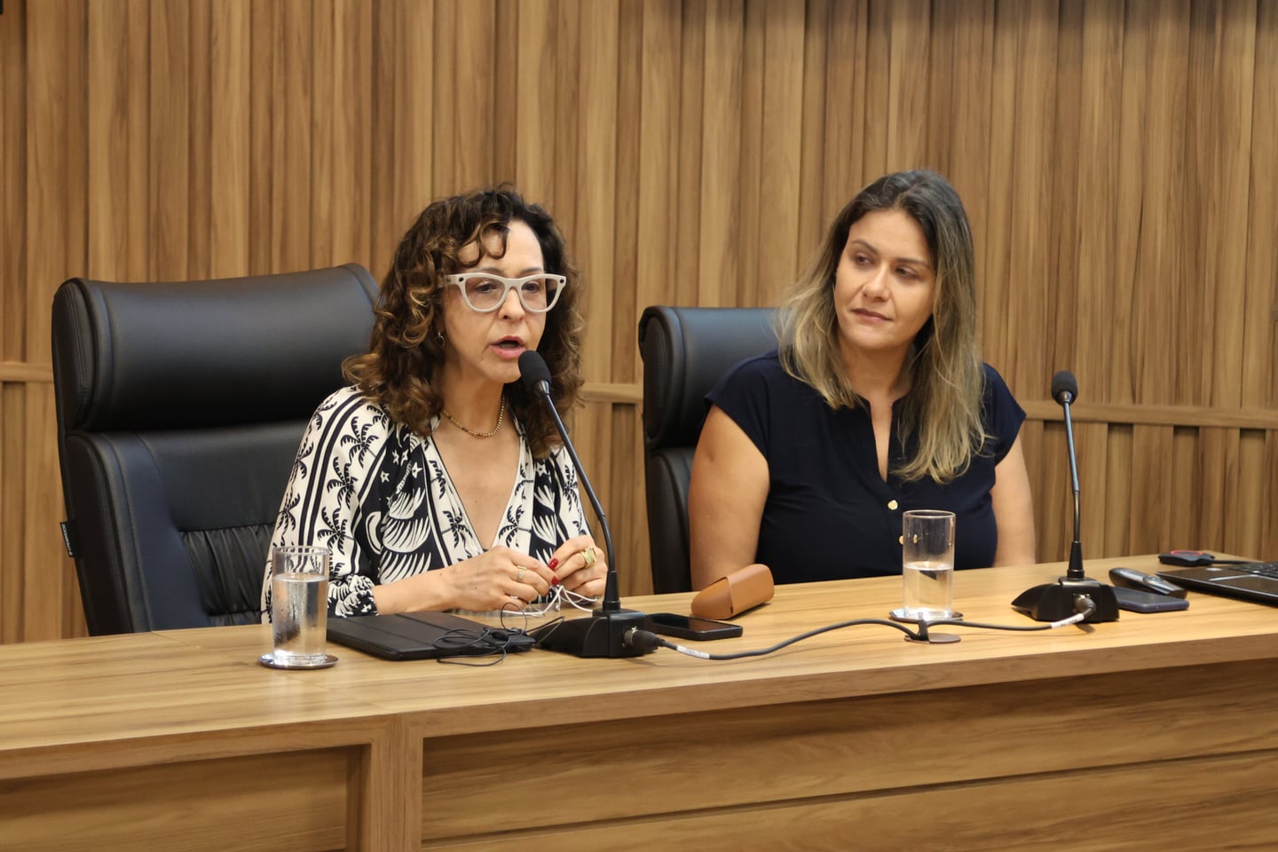 Seminário do MPRO aborda desafios da educação inclusiva e compreensão da deficiência
