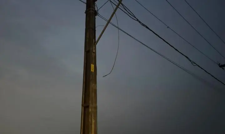 Edimilson Dourado pede poda de árvores na Zona Sul para prevenir quedas e interrupções de energia