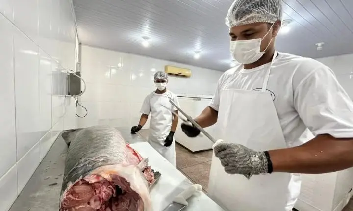 Regularização pelo SIM: impulsionando o mercado e fortalecendo agroindústrias em Porto Velho
