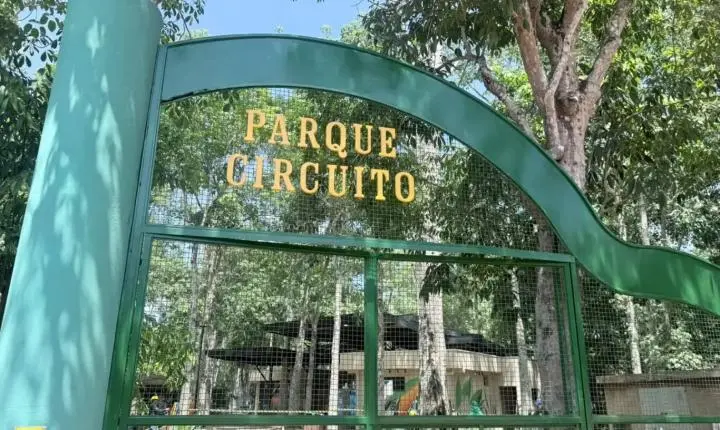 Renovação de Atrações e Iniciativas de Educação Ambiental Marcam Reabertura do Parque Circuito