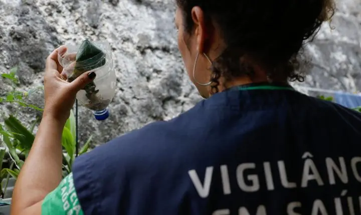 São Paulo tem mais de 58 mil casos de dengue desde o início do ano